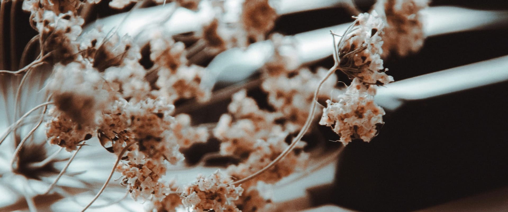 株式会社ピアノアートの見出し画像。電子ピアノの鍵盤の接写。